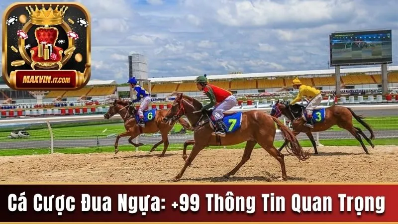 cá cược đua ngựa