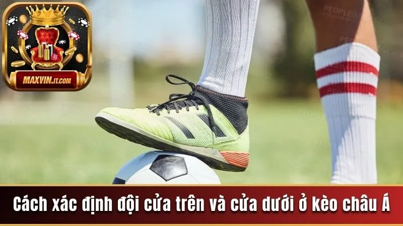 Kèo Trên Kèo Dưới - Mấu Chốt Xác Định Thành Bại Cho Nhà Đầu Tư 2 Cách xác định đội cửa trên và cửa dưới ở kèo châu Á