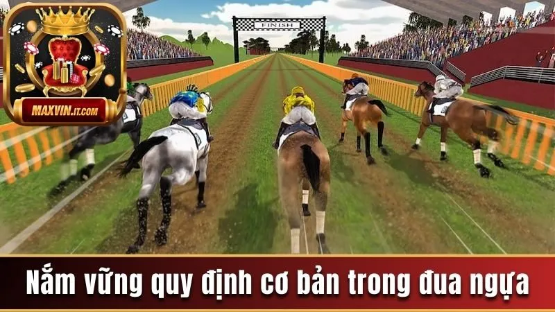 Cá Cược Đua Ngựa - Tổng Hợp Các Thông Tin Quan Trọng Cần Nắm 3 Nắm vững những quy định cơ bản trong đua ngựa