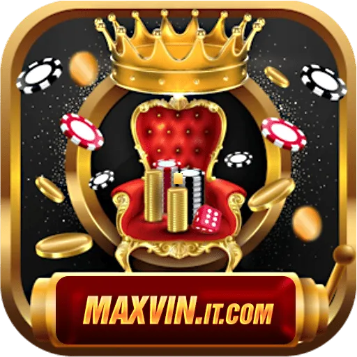 Maxvin.it.com